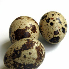 Huevos de Codorniz